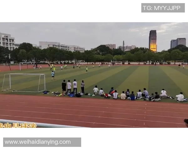 七人制足球比赛规则详解与实用技巧分享助你轻松掌握比赛要领