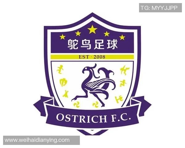 全球最赚钱足球俱乐部排行榜揭晓背后的商业秘密与成功因素分析